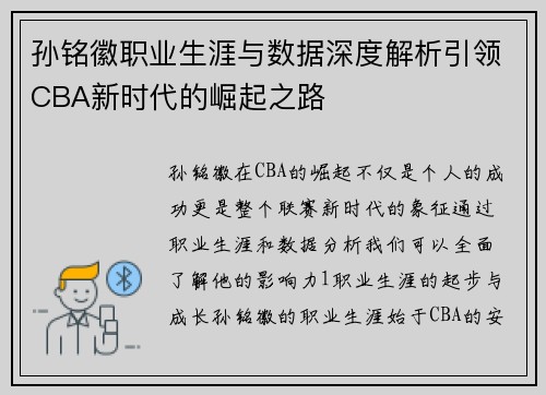 孙铭徽职业生涯与数据深度解析引领CBA新时代的崛起之路